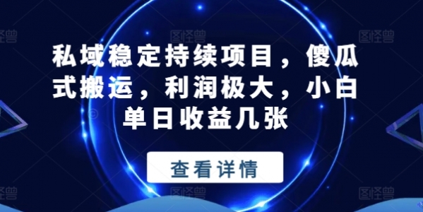 私域稳定持续项目，傻瓜式搬运，利润极大，小白单日收益几张【揭秘】 - 163资源网-163资源网