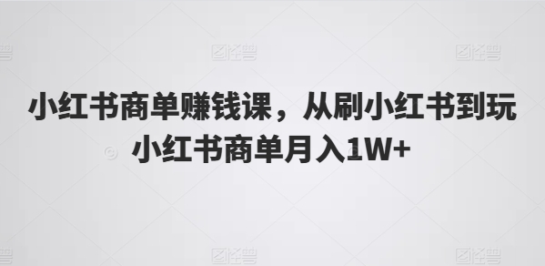 小红书商单赚钱课，从刷小红书到玩小红书商单月入1W+ - 163资源网-163资源网