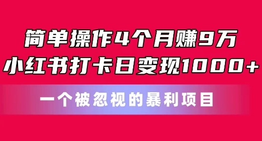 简单操作4个月赚9w，小红书打卡日变现1k，一个被忽视的暴力项目【揭秘】 - 163资源网-163资源网