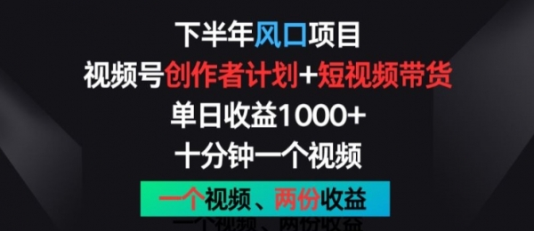 下半年风口项目，视频号创作者计划+视频带货，一个视频两份收益，十分钟一个视频【揭秘】 - 163资源网-163资源网