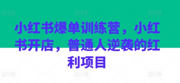 小红书爆单训练营，小红书开店，普通人逆袭的红利项目 - 163资源网-163资源网