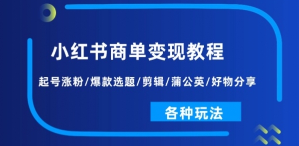 小红书商单变现教程：起号涨粉/爆款选题/剪辑/蒲公英/好物分享/各种玩法 - 163资源网-163资源网