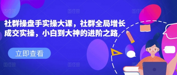 社群操盘手实操大课，社群全局增长成交实操，小白到大神的进阶之路 - 163资源网-163资源网