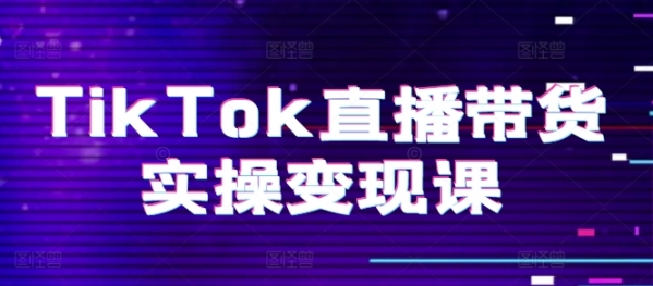 TikTok直播带货实操变现课：系统起号、科学复盘、变现链路、直播配置、小店操作流程、团队搭建等 - 163资源网-163资源网