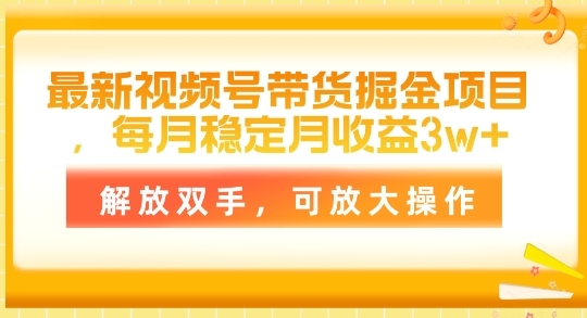 最新视频号带货掘金项目，每月稳定月收益1w+，解放双手，可放大操作 - 163资源网-163资源网