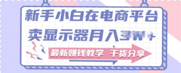 新手小白如何做到在电商平台卖显示器，最新赚钱教学干货分享 - 163资源网-163资源网