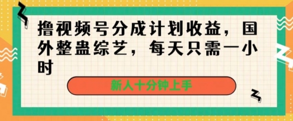 撸视频号分成计划收益，国外整蛊综艺，每天只需一小时，新人十分钟上手 - 163资源网-163资源网