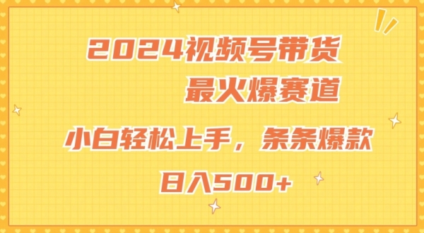 2024视频号超火爆赛道，小白轻松上手，纯原创AI带货，条条爆款 - 163资源网-163资源网