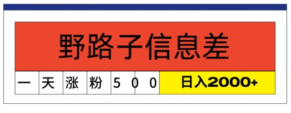 最新《1000个野路子信息差》新玩法，文字视频，单个作品暴粉5000+，小白轻松上手 - 163资源网-163资源网