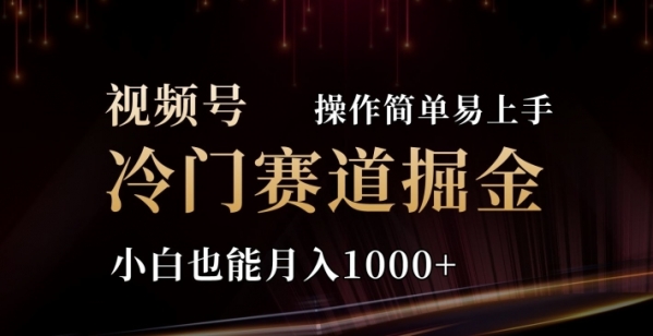 2024视频号三国冷门赛道掘金，操作简单轻松上手，小白也能月入1000+ - 163资源网-163资源网