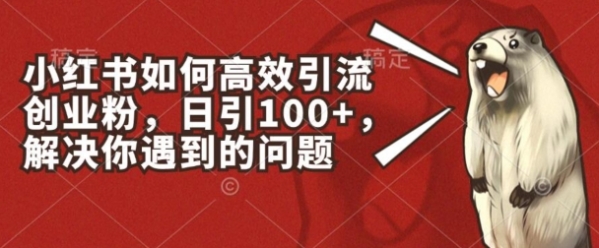 小红书如何高效引流创业粉，日引100+，解决你遇到的问题【揭秘】 - 163资源网-163资源网