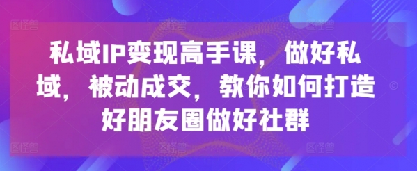 私域IP变现高手课，做好私域，被动成交，教你如何打造好朋友圈做好社群 - 163资源网-163资源网