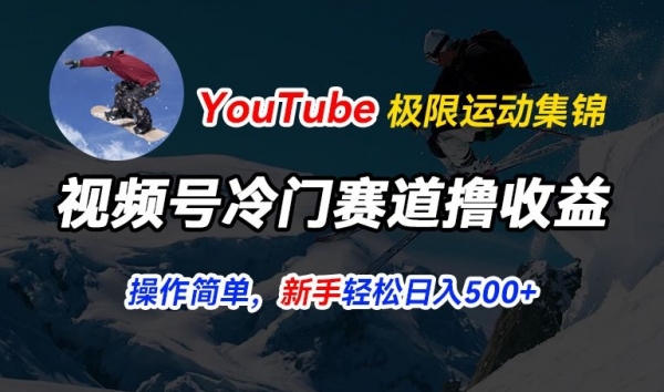 视频号冷门赛道撸收益，YouTube搬运极限运动集锦，暴力起号，操作简单流量高，轻松日入5张【揭秘】 - 163资源网-163资源网