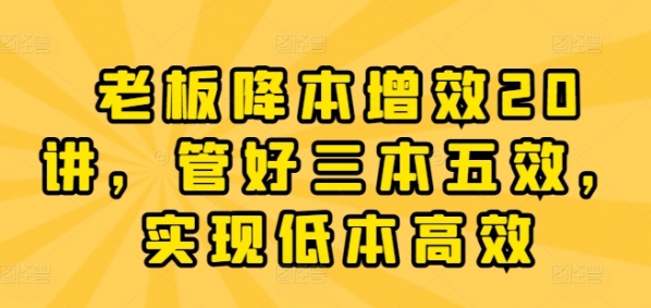 老板降本增效20讲，管好三本五效，实现低本高效 - 163资源网-163资源网