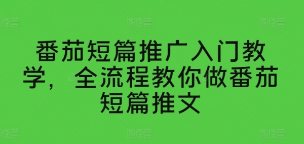 番茄短篇推广入门教学，全流程教你做番茄短篇推文 - 163资源网-163资源网