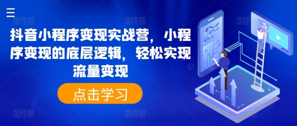 抖音小程序变现实战营，小程序变现的底层逻辑，轻松实现流量变现 - 163资源网-163资源网