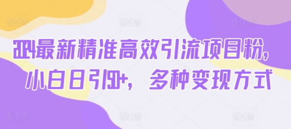 2024最新精准高效引流项目粉，小白日引50+，多种变现方式 - 163资源网-163资源网