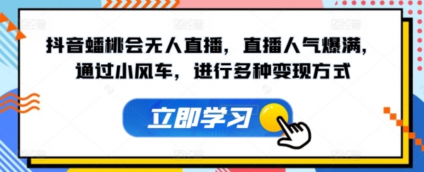 抖音蟠桃会无人直播，直播人气爆满，通过小风车，进行多种变现方式 - 163资源网-163资源网