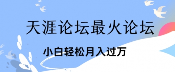 引爆私域利用最火话题天涯论坛、小白轻松月入过w - 163资源网-163资源网