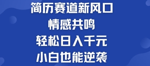 揭秘！简历模板赛道的新风口，情感共鸣，轻松日入千元，小白也能逆袭! - 163资源网-163资源网