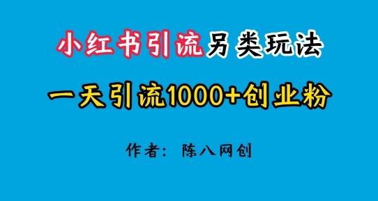 2024小红书引流另类玩法，一天引流1000+创业粉 - 163资源网-163资源网