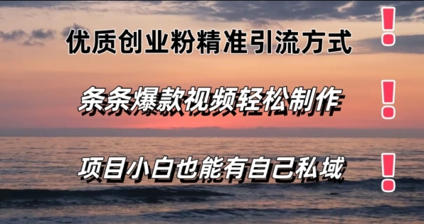 优质创业粉精准引流方式，条条视频爆款，小白也能轻松拥有自己的私域 - 163资源网-163资源网