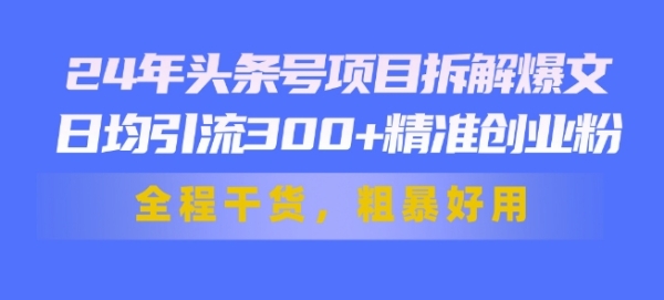 24年头条号项目拆解爆文，日均引流300+精准创业粉，全程干货，粗暴好用 - 163资源网-163资源网