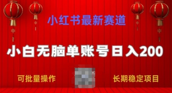 小红书最新赛道，小白无脑单账号日入200，长期稳定项目 - 163资源网-163资源网