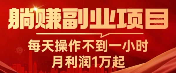 躺赚副业项目，每天操作不到一小时，月利润1万起，实战篇 - 163资源网-163资源网