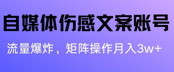 自媒体伤感文案账号，制作简单，流量爆炸账号很容易复制，矩阵月入1W+ - 163资源网-163资源网