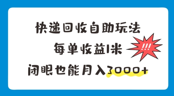 快递回收自助玩法，每单收益1米，闭眼也能月入3000+ - 163资源网-163资源网