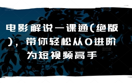 电影解说一课通(绝版)，带你轻松从0进阶为短视频高手 - 163资源网-163资源网