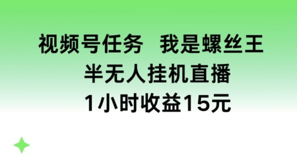 视频号任务，我是螺丝王， 半无人挂机1小时收益15元【揭秘】 - 163资源网-163资源网