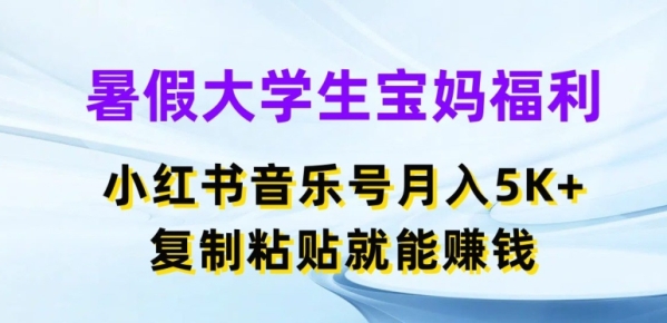 暑假大学生宝妈福利，小红书音乐号月入5000+，复制粘贴就能赚钱【揭秘】 - 163资源网-163资源网