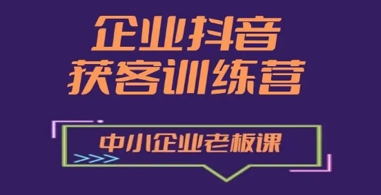 企业抖音营销获客增长训练营，中小企业老板必修课 - 163资源网-163资源网