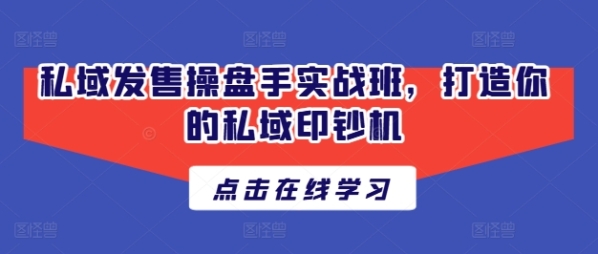 私域发售操盘手实战班，打造你的私域印钞机 - 163资源网-163资源网