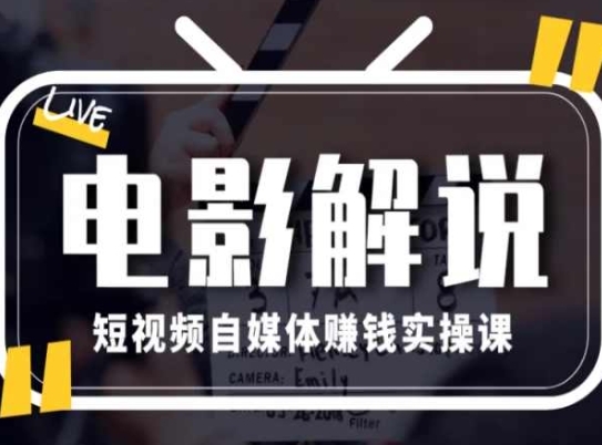 电影解说短视频自媒体赚钱实操课，教你做电影解说短视频，月赚1万 - 163资源网-163资源网