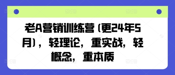 老A营销训练营(更24年6月)，轻理论，重实战，轻概念，重本质 - 163资源网-163资源网