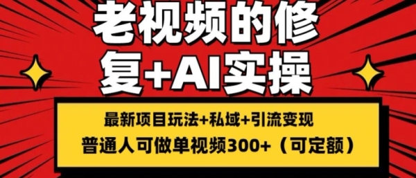 修复老视频的玩法，搬砖+引流的变现(可持久)，单条收益300+【揭秘】 - 163资源网-163资源网