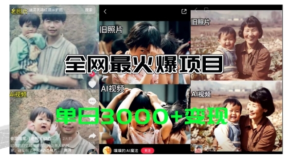 全网爆火的AI让老照片动起来教程，蹭热点日赚3k+，内含免费工具一键可生成【揭秘】 - 163资源网-163资源网