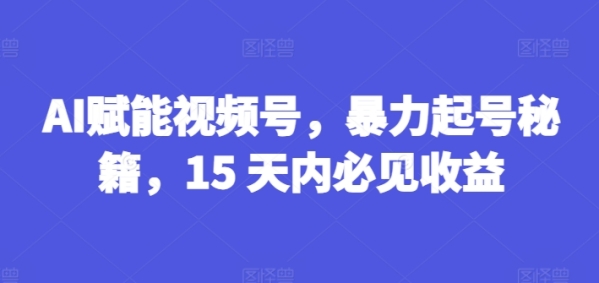 AI赋能视频号，暴力起号秘籍，15 天内必见收益【揭秘】 - 163资源网-163资源网