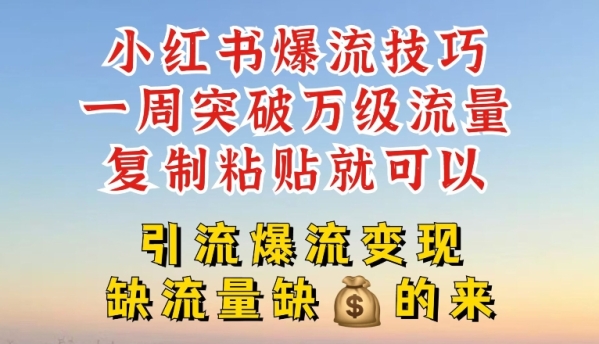 小红书爆流技巧，一周突破万级流量，复制粘贴就可以，引流爆流变现【揭秘】 - 163资源网-163资源网