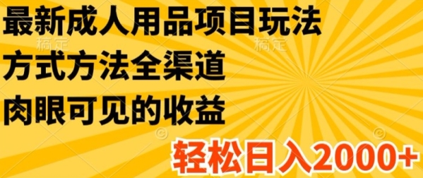 最新成人用品项目玩法，方式方法全渠道，轻松日入2K+【揭秘】 - 163资源网-163资源网