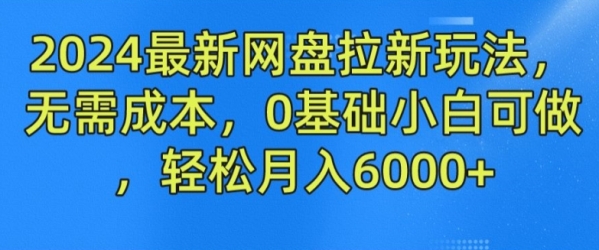 2024最新网盘拉新玩法，无需成本，0基础小白可做，轻松月入6000+【揭秘】 - 163资源网-163资源网