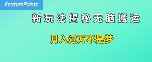 简单操作，每天50美元收入，搬运就是赚钱的秘诀【揭秘】 - 163资源网-163资源网