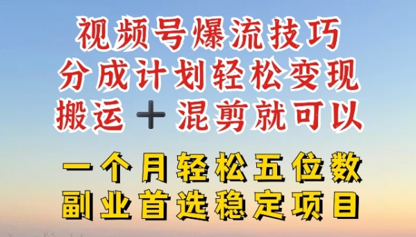 视频号爆流技巧，分成计划轻松变现，搬运 +混剪就可以，一个月轻松五位数稳定项目【揭秘】 - 163资源网-163资源网