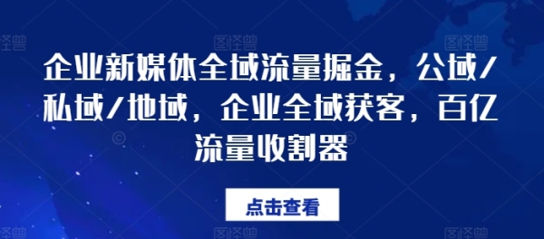 企业新媒体全域流量掘金，公域/私域/地域，企业全域获客，百亿流量收割器 - 163资源网-163资源网