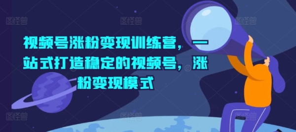 视频号涨粉变现训练营，一站式打造稳定的视频号，涨粉变现模式 - 163资源网-163资源网