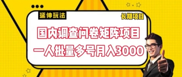 国内调查问卷矩阵项目，一人批量多号月入3000【揭秘】 - 163资源网-163资源网