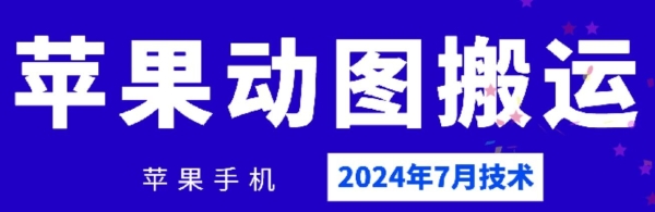 2024年7月苹果手机动图搬运技术 - 163资源网-163资源网